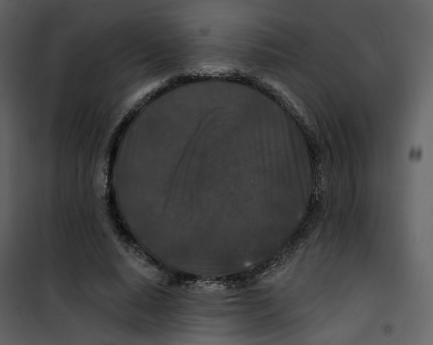 X0000100750640200807171412