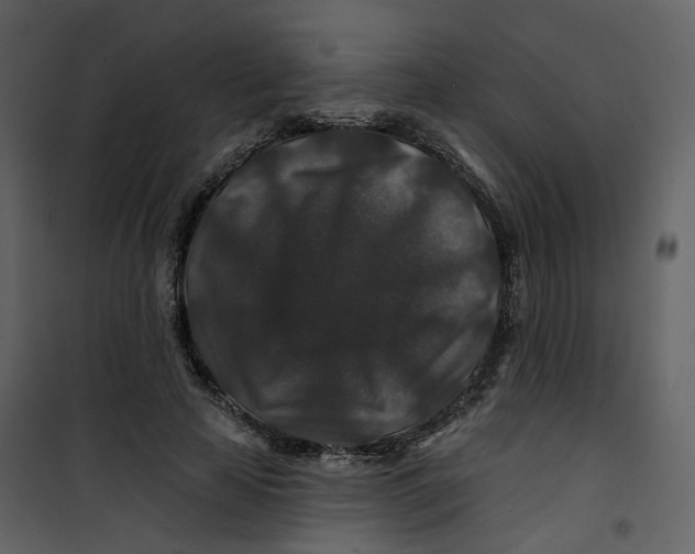 X0000100750641200807171412
