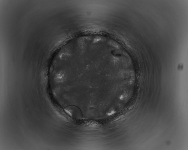 X0000100750642200807171412
