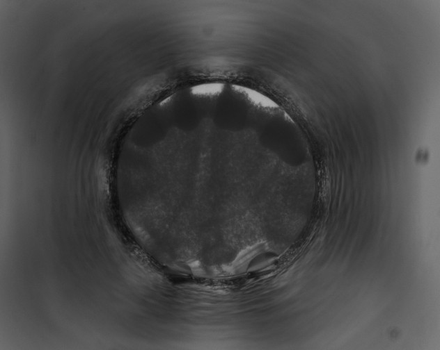 X0000100750643200807171412
