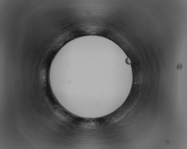 X0000100750646200807171412