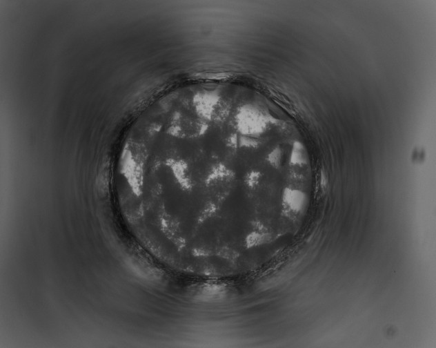 X0000100750647200807171412
