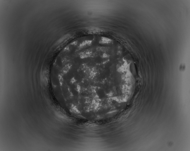 X0000100750648200807171412