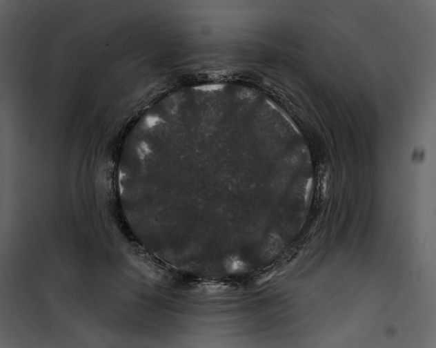 X0000100750650200807171413