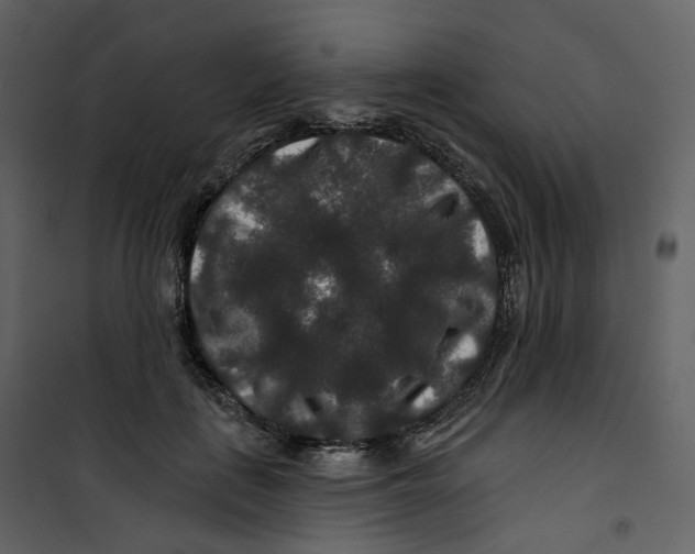 X0000100750651200807171413