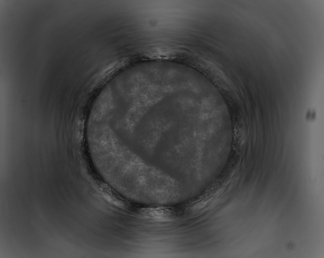 X0000100750652200807171413