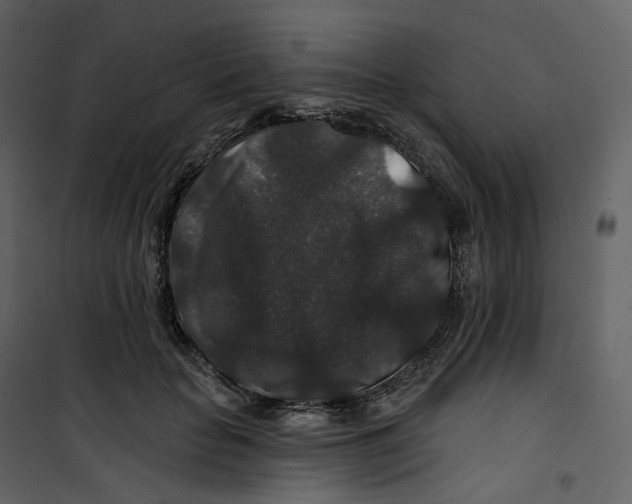 X0000100750653200807171413