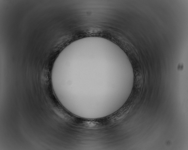 X0000100750654200807171413