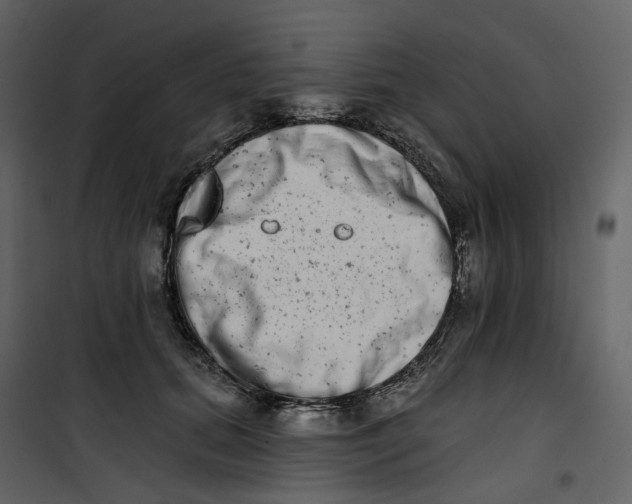X0000100750655200807171413