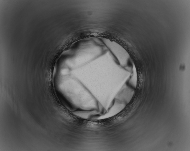X0000100750657200807171413