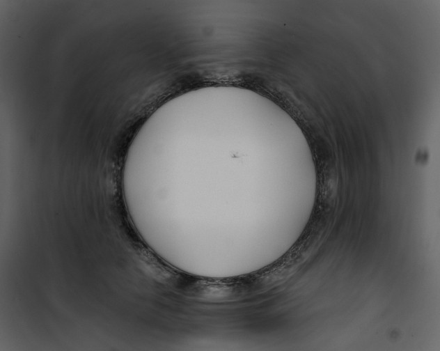 X0000100750658200807171413