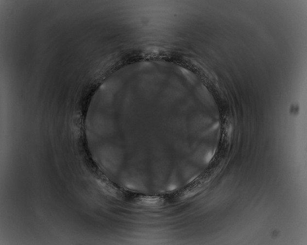 X0000100750659200807171413