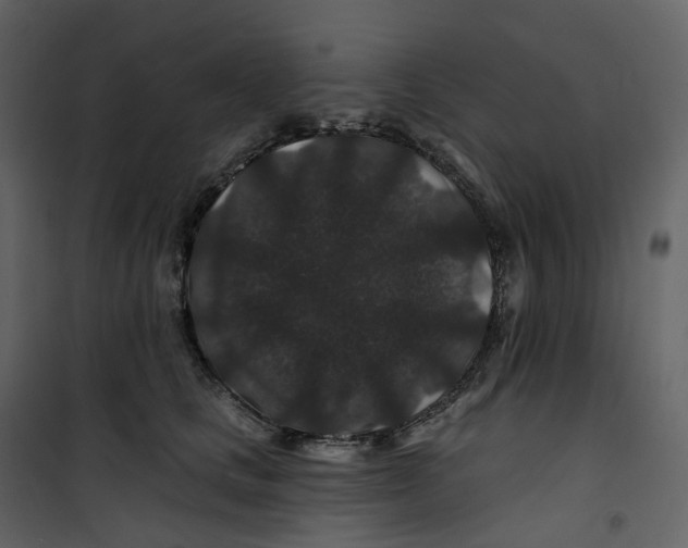 X0000100750661200807171413