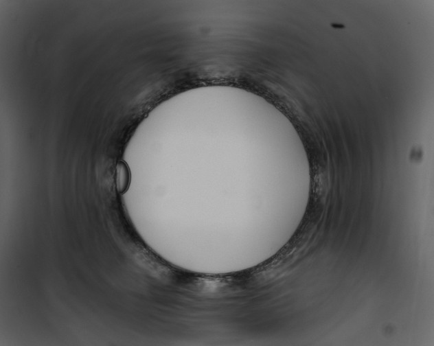 X0000100750662200807171413