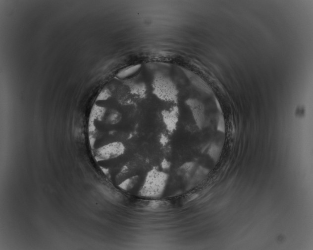 X0000100750663200807171413