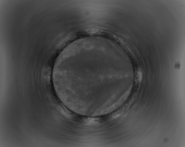 X0000100750664200807171413