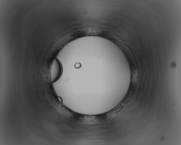 X0000100750666200807171413