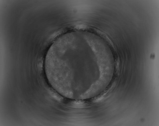 X0000100750668200807171413