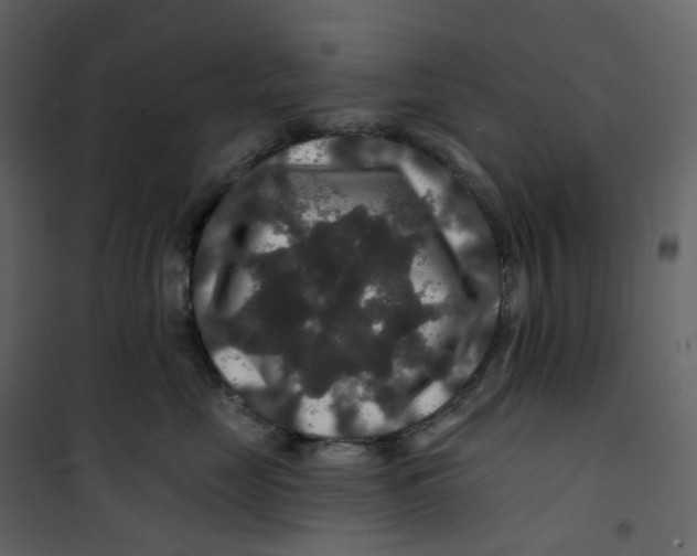 X0000100750669200807171413