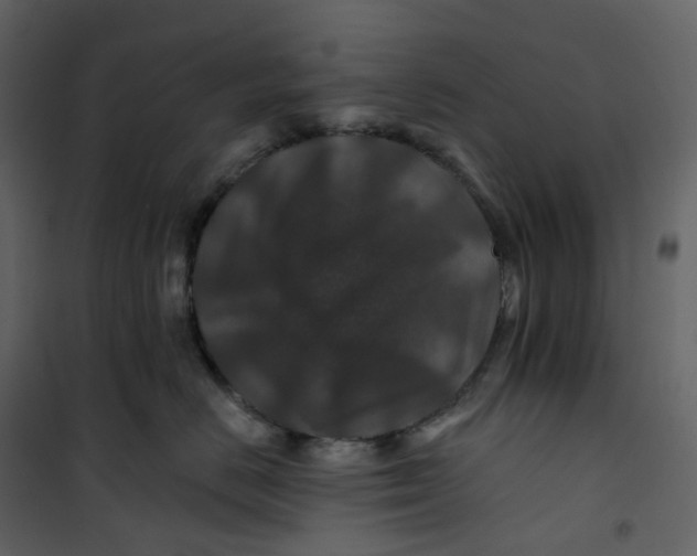 X0000100750670200807171413