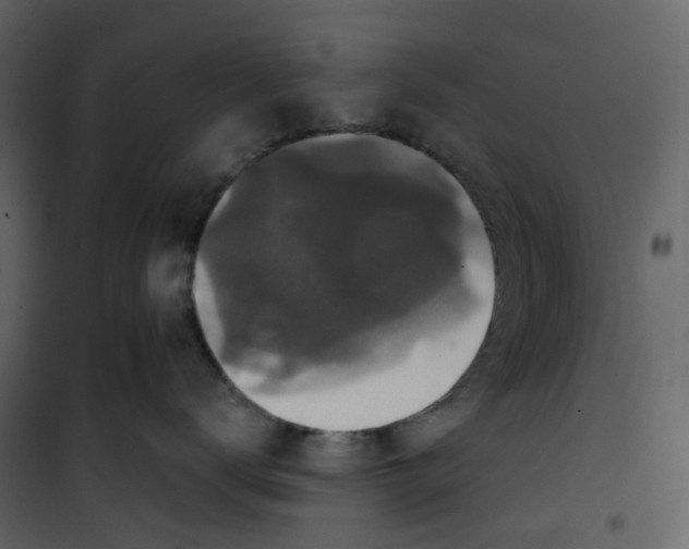 X0000100750672200807171413