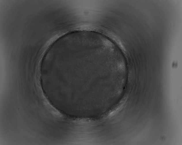 X0000100750673200807171412