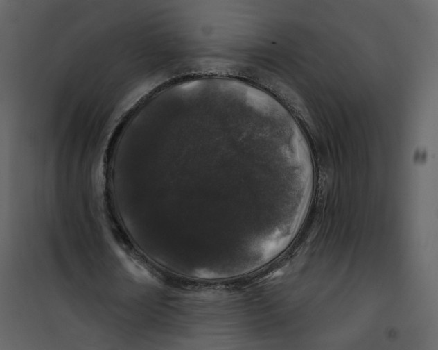 X0000100750674200807171412