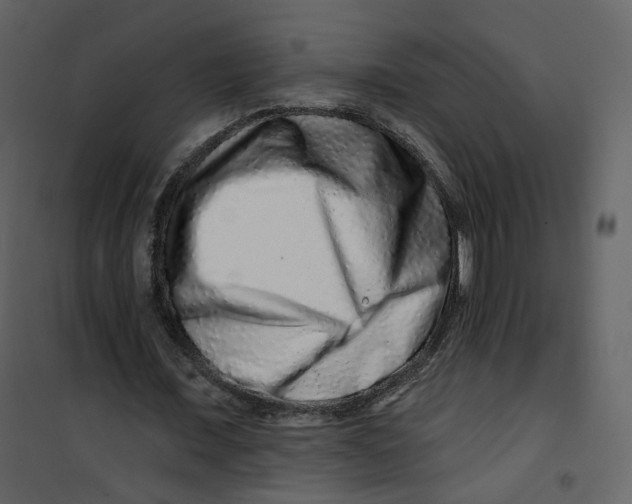 X0000100750675200807171412