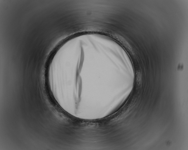 X0000100750676200807171412