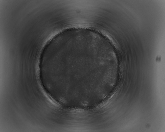 X0000100750677200807171412