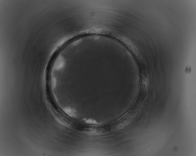X0000100750678200807171412