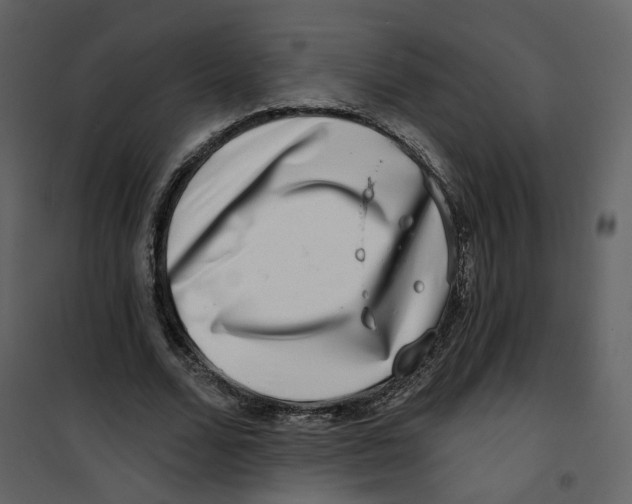 X0000100750680200807171412
