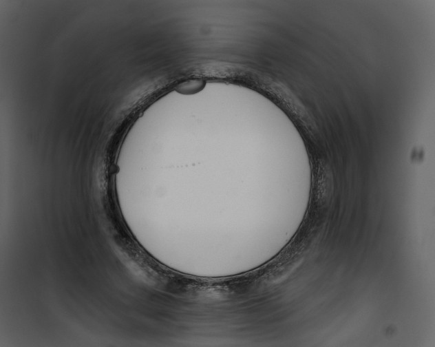 X0000100750683200807171412