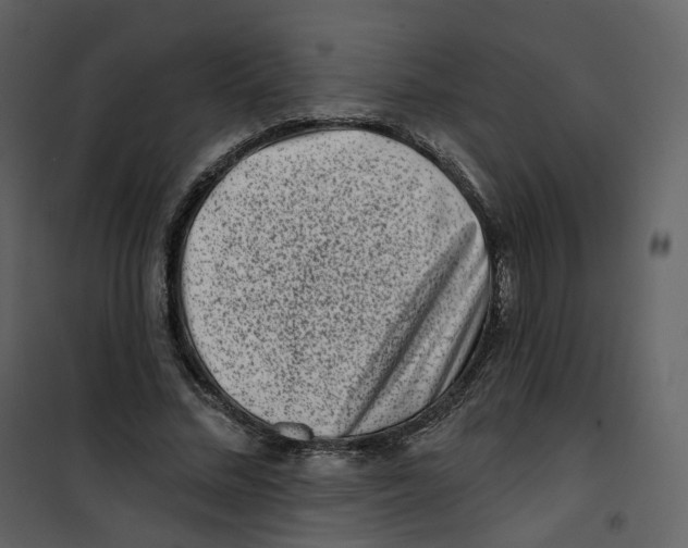 X0000100750684200807171412