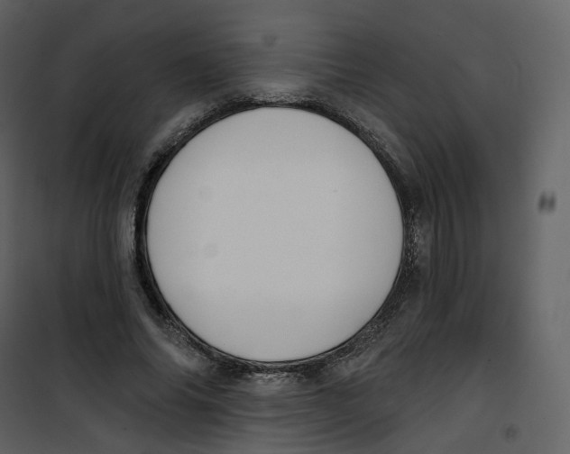 X0000100750686200807171412