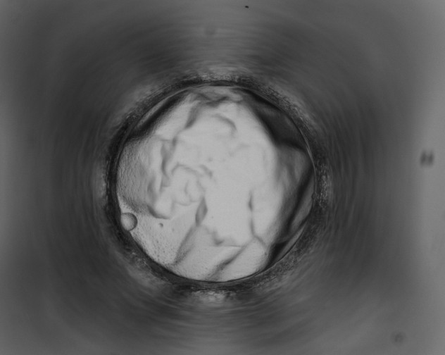 X0000100750687200807171412