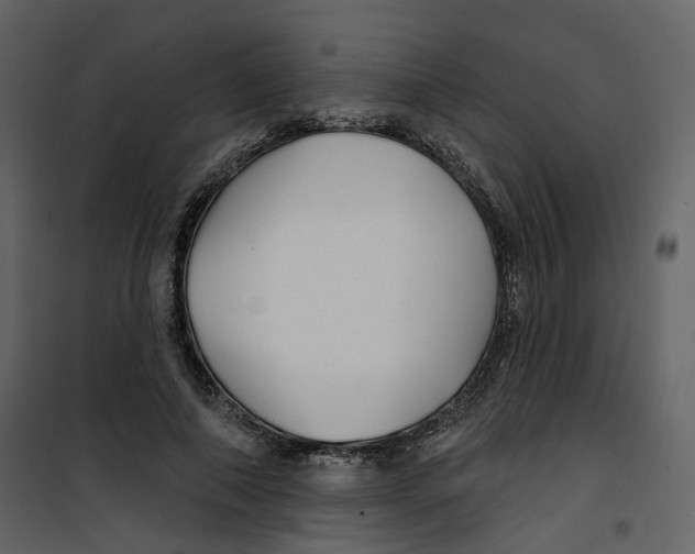 X0000100750690200807171412