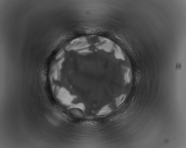 X0000100750691200807171412
