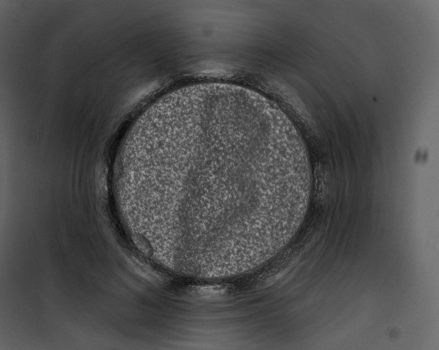 X0000100750692200807171412