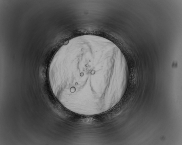 X0000100750695200807171412