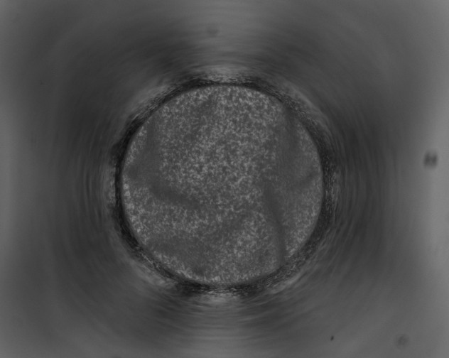 X0000100750696200807171412