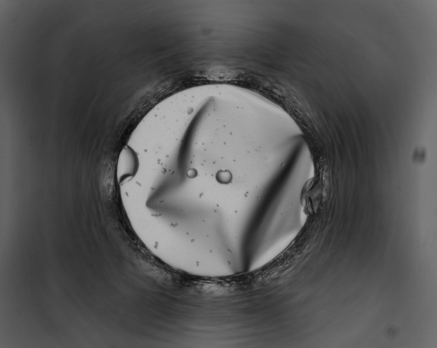 X0000100750697200807171412