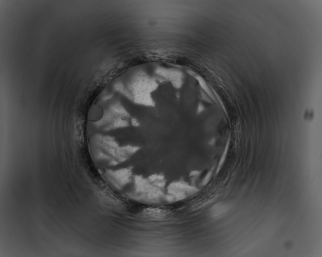 X0000100750699200807171412