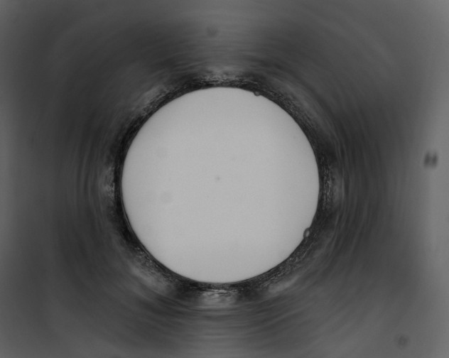 X0000100750700200807171412