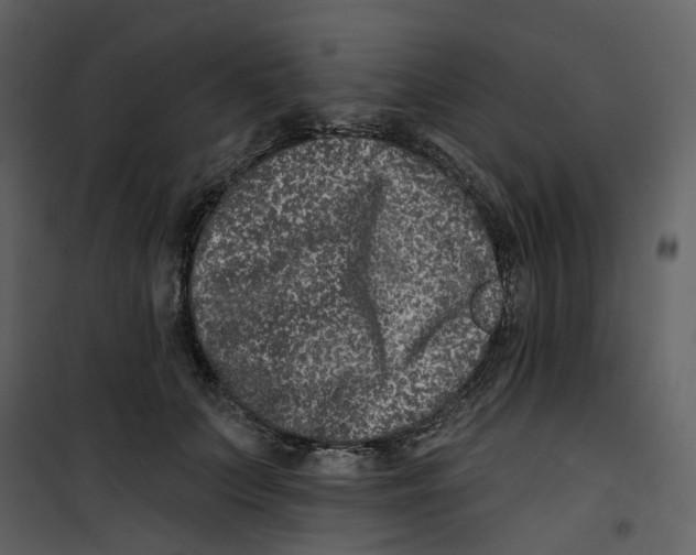 X0000100750703200807171412