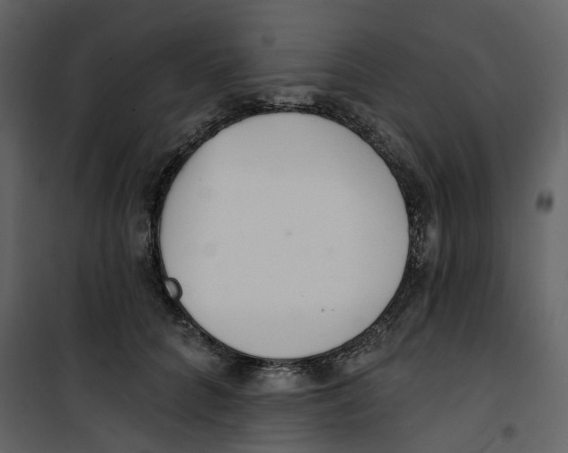 X0000100750704200807171412
