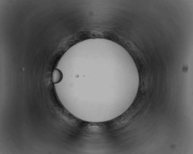 X0000100750706200807171412