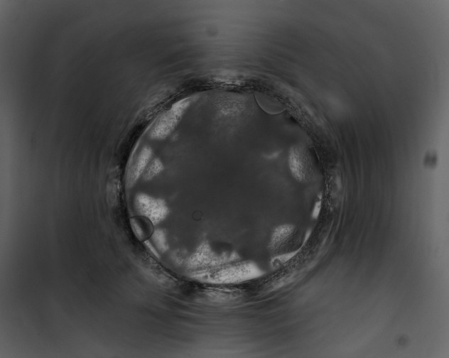 X0000100750707200807171412