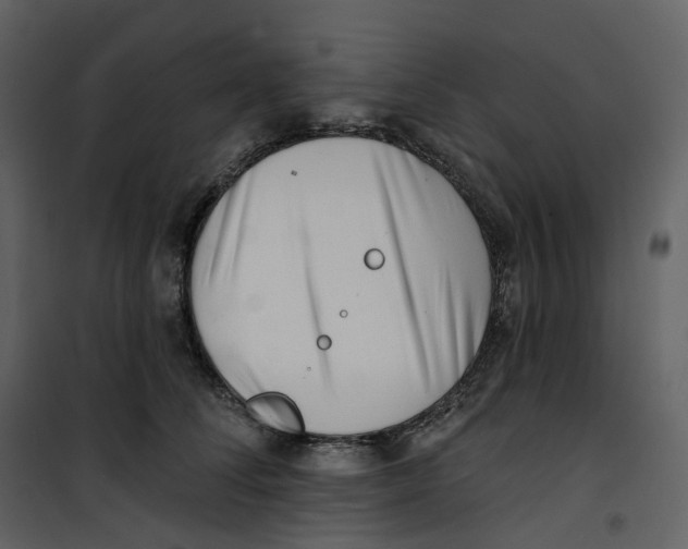 X0000100750708200807171412