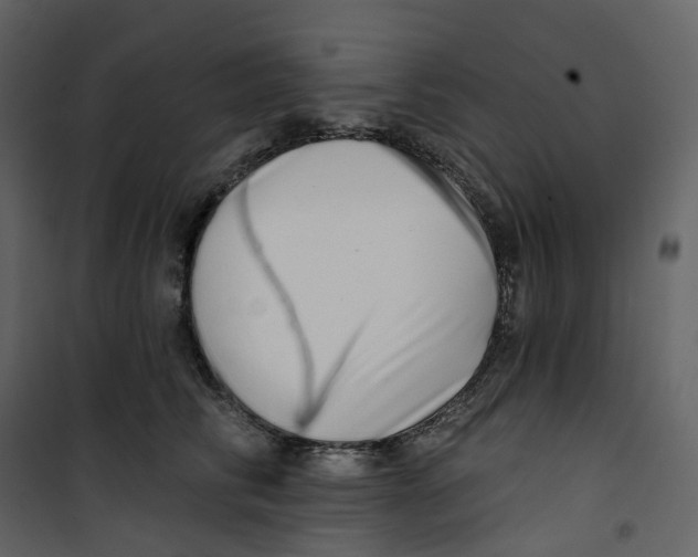 X0000100750710200807171412